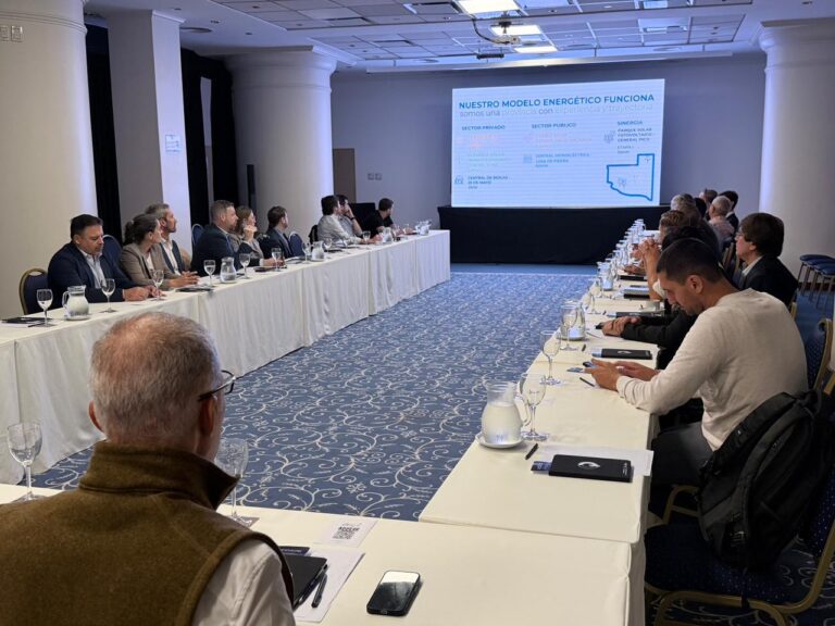 Energía Solar: empresas líderes del sector miran a La Pampa para invertir