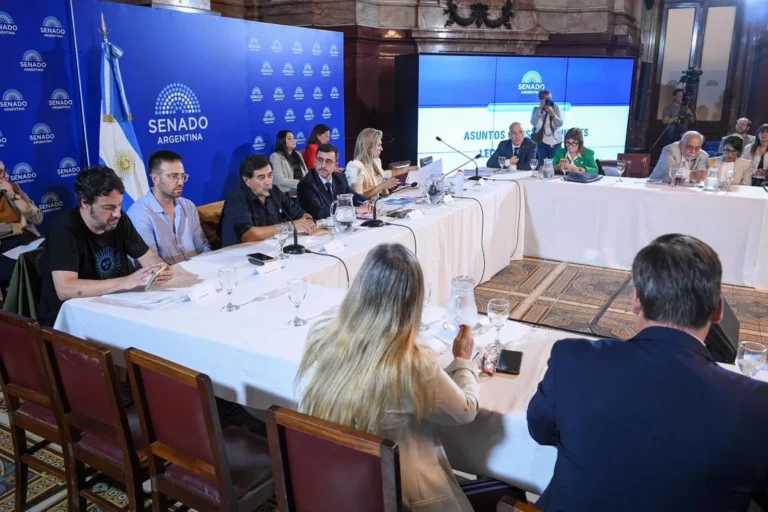 Fuerte debate en el Senado por el proyecto de Propiedad Privada: choque entre Vilar y Bullrich