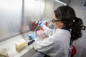 Hantavirus: Argentina asiste a países europeos con insumos