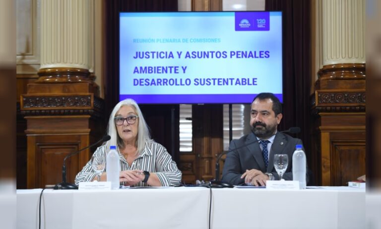 El Senado avanzó con un proyecto para penalizar con prisión delitos ambientales graves