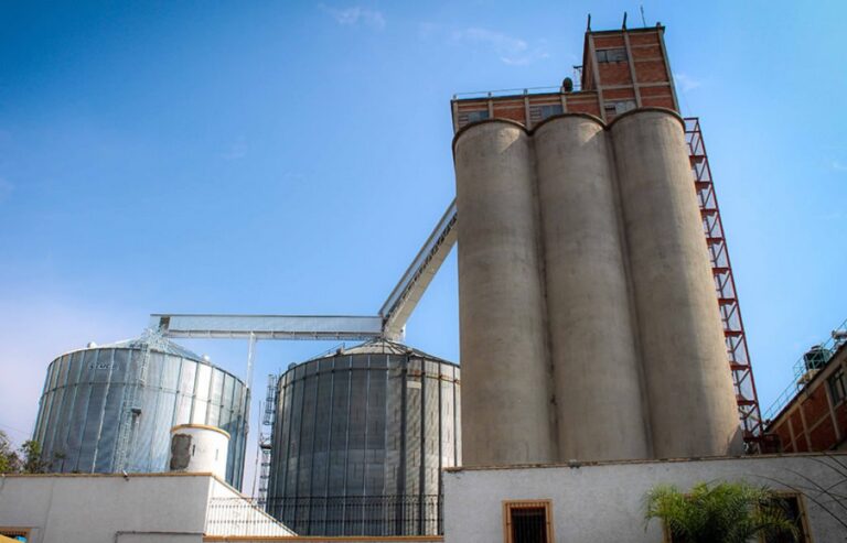 Las actividades aceiteras y cerealeras generaron divisas por más de 2.600 millones de dólares
