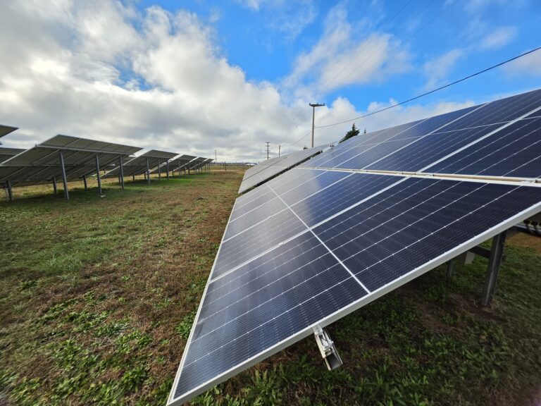 Un nuevo récord en generación distribuida: La Pampa supera los 3 MW de potencia instalada